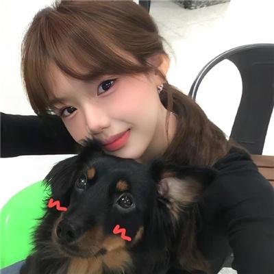 情谜郁金香
